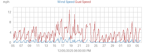 Month's Wind and Gust Speed graph