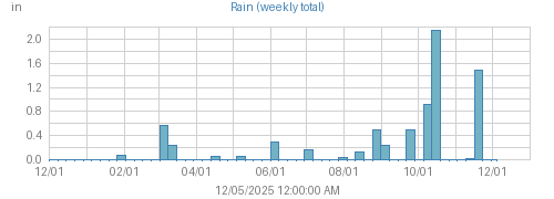 Year's Rain graph
