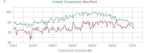 Year's Temperature, Dewpoint, and Heat Index graph
