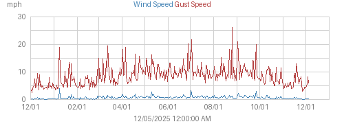 Year's Wind and Gust Speed graph